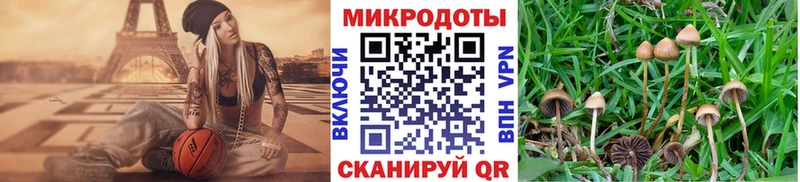 купить Екатеринбург Галлюциногенные грибы мухоморы